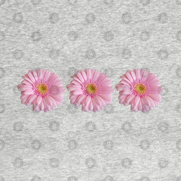 Three Pink Gerberas Floral Photo by ellenhenryart